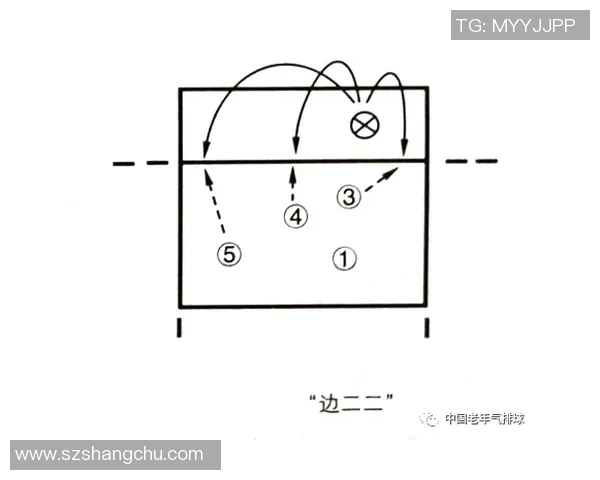 深入分析上海排球队整体压制战术及其在比赛中的应用效果