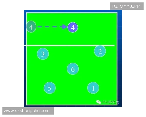 深圳排球队进攻战术解析与球队表现的深度剖析