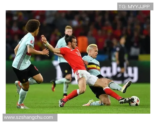 深圳足球队的蜕变之旅从低谷到冠军赛的辉煌历程揭秘