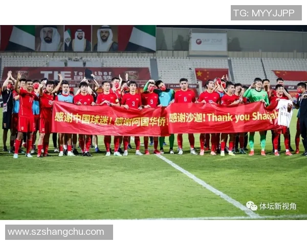 重庆羽毛球队在锦标赛中的团队协作表现分析与点评