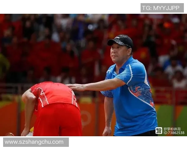 南京羽毛球队防反战术解析与实战应用探讨