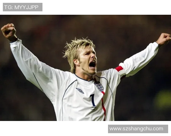 帅气足球明星精彩瞬间视频集锦让你大饱眼福